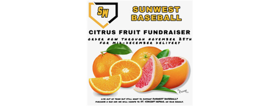 Baseball Fundraiser